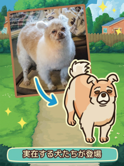 オールドフレンズ・ドッグゲーム