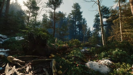 画像ギャラリー No.007のサムネイル画像 / 「The Witcher IV」ゲーム画面を交えた技術デモを公開。PS5で60FPSで動作,レイトレーシングにも対応