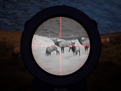 Way of the HunterסɲDLCNight Hunting Pack䳫ϡŻ륿פΥġȤä֤μĤĩ路褦