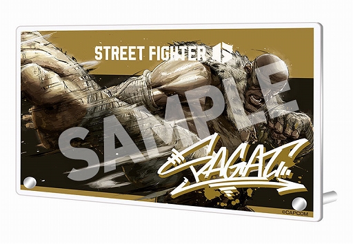 画像ギャラリー No.016のサムネイル画像 / 「ストリートファイター6」,ムエタイの帝王「サガット」を実装。膝蹴りやハイキックなどおなじみの蹴り技と,新必殺技で敵を蹴散らせ