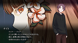 ������EX�����ͤ���̩