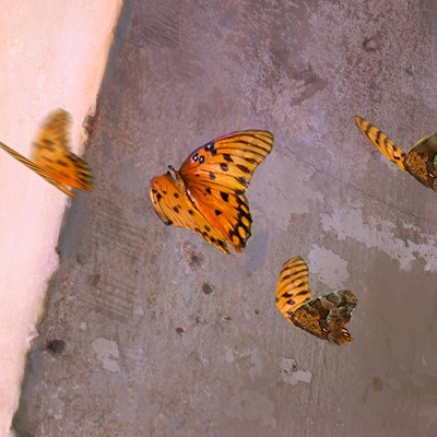 ���������꡼ No.019�Υ���ͥ������ / ��SILENT HILL f��Steam�ǥ����å���ꥹ�Ȥ���Ͽ���դ򳫻ϡ�����Ȥʤ��ļ�Į�ֽ����֡פ䥯�꡼���㡼�ʤɤ��ǧ�Ǥ���ǿ����������