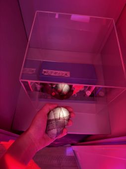 ꡼ No.014Υͥ / ȥҥͶΡSILENT HILL fʪŸפθǯKONAMI֡ϡᥤ󥹥ơ򶴤ǱۡTGS2025