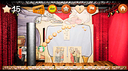 Show Ball: Tiger Life