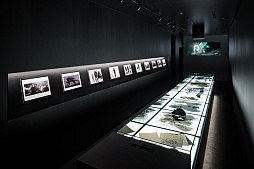 ꡼ No.006Υͥ / DEATH STRANDING 2פΡ¤ɤθǸȡʹȡġȯСΥ󥿥ӥ塼ȥĥݡ