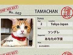 ˤʤǭо줵󥹡Switchѥ륲֥ͥߥפγȯٱŪ˥饦ɥեǥ󥰤