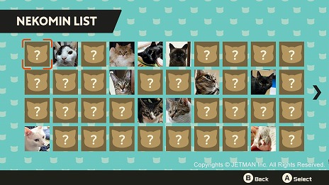 ꡼ No.008Υͥ / Joy-ConΥͥ饷ȤäơͥƳSwitchѥ륲֥ͥߥס1214˥꡼