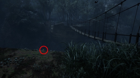 ���������꡼ No.010�Υ���ͥ������ / ���ϥ���ե顼������ˤ�뤫!?��METAL GEAR SOLID ��: SNAKE EATER�פΥե��ȥ⡼�ɤǻ��Ƥ����������饹�͡�����õ��