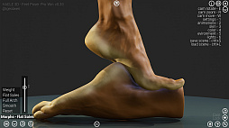 HAELE 3D - Feet Poser Pro