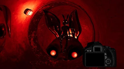 ���������꡼ No.001�Υ���ͥ������ / ����Τϻ��ͥ��˥ޥȥ��˥������������Ϥ����������������׼̿��򻣱Ƥ��뿷��ۥ顼�������Trash Bunny House�פ�6��30�����ۿ�����