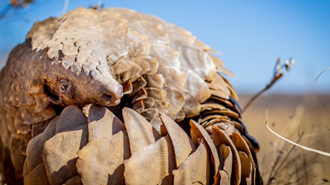 ���������꡼ No.002�Υ���ͥ������ / ���ǿȤ��륵�Х�ʥ��󥶥󥳥�����Ρ�Heroes of Hammerwatch II�ץ�ӥ塼������������Steam����