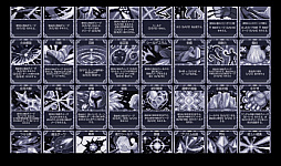 HARMA 亡国のエデン