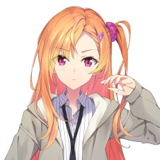 ���������꡼ No.006�Υ���ͥ������ / ���꡼��25��ǯ��ǰ���ʡ֥��꡼������ ���� ��Not always true���ס�����ȯ�䡣�֤��������Τʤ��ۤ��פ�ơ��ޤˡ��������о��ʪ��ʪ�������