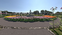 �˥��¢�����޵ȤΥե������ǥ������