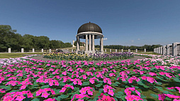 �˥��¢�����޵ȤΥե������ǥ������