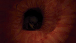 ���������꡼ No.001�Υ���ͥ������ / ��Ĳ����������ţ����ʤɤ�����ȥܥǥ��ۥ顼������ɡ�Revenge Of The Colon��12��23��ȯ��