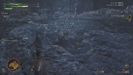 ���������꡼ No.016�Υ���ͥ������ / �Υץ쥤��ݡϡ֥�󥹥����ϥ󥿡��磻�륺�ץ�ǥ��������θ����ݡ��ȡ�Ĵ�����ܤ��줿��󥹤��������ǡ�����󥹥����μ��Ĥ��θ�