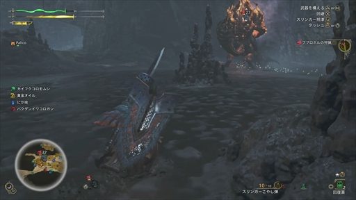 ���������꡼ No.021�Υ���ͥ������ / �Υץ쥤��ݡϡ֥�󥹥����ϥ󥿡��磻�륺�ץ�ǥ��������θ����ݡ��ȡ�Ĵ�����ܤ��줿��󥹤��������ǡ�����󥹥����μ��Ĥ��θ�