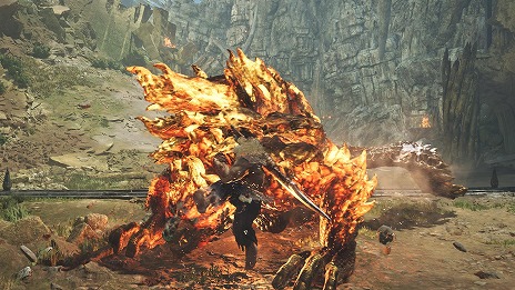 ꡼ No.011Υͥ / ֥󥹥ϥ󥿡磻륺סߡ֥ȥ꡼ȥե6ץܤ򳫻ϡǥ쥯滳Ƿ᤬о줹ǿ