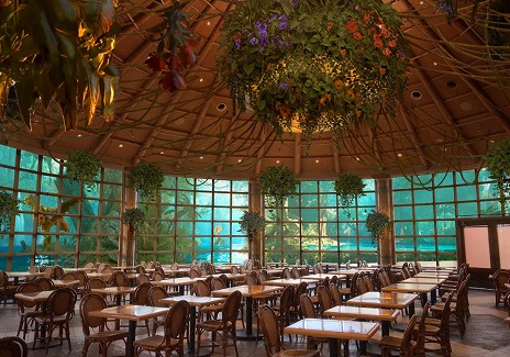 ꡼ No.012Υͥ / ֥ϥ磻륺סUSJΥܥ쥹ȥ1119ָǥץ󡣥ȥʤɤǤARץ꡼Ʊ