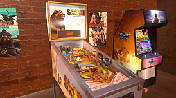 Wild Pinball Bundle