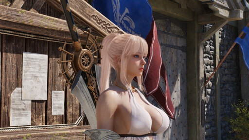 ꡼ No.006Υͥ / Υץ쥤ݡϿRPGVindictus: Defying Fateפϡեåȼ꿨ɹʥǴԤޤž夬