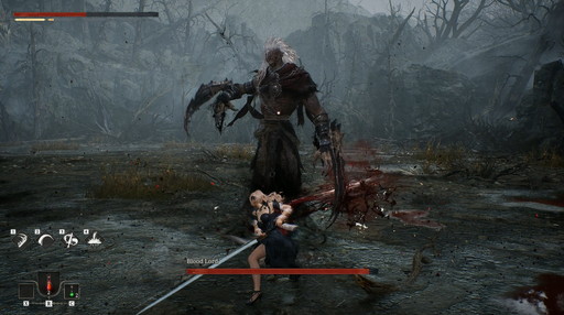 ꡼ No.040Υͥ / Υץ쥤ݡϿRPGVindictus: Defying Fateפϡեåȼ꿨ɹʥǴԤޤž夬