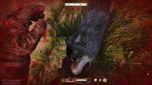 ���������꡼ No.008�Υ���ͥ������ / ����ʪ�������ɤ��Ƥ���äƤ��롣�֥��󥰥��५�ࡦ�ǥ�Х��II�פǥɥ�ޥ��å����Ĺ����ʵ����θ���פ�¸ʬ�ڤ��⤦��PR��