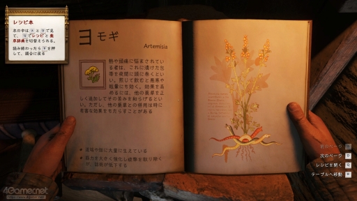 ���������꡼ No.020�Υ���ͥ������ / ����ʪ�������ɤ��Ƥ���äƤ��롣�֥��󥰥��५�ࡦ�ǥ�Х��II�פǥɥ�ޥ��å����Ĺ����ʵ����θ���פ�¸ʬ�ڤ��⤦��PR��