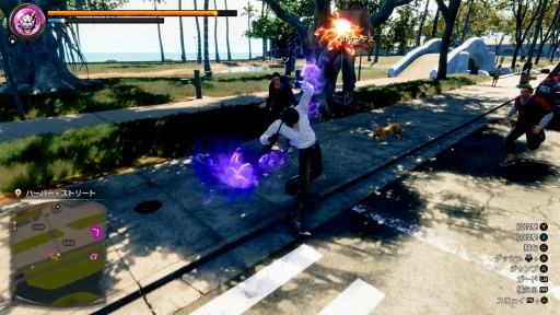 ���������꡼ No.018�Υ���ͥ������ / �Υץ쥤��ݡϡ�ζ��ǡ�������� Pirates in Hawaii�פϤ��٤Ƥ�ͷ�Ӥ���±�Ĥζ����ˤĤʤ��롣���ƻ������������ˡ�ɤ�