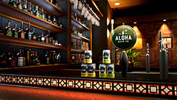 ���������꡼ No.011�Υ���ͥ������ / ��ζ��ǡ���������פȡ�ALOHA BEER�פΥ������2�ơ�ȯ�䳫��