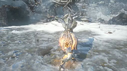 ꡼ No.004Υͥ / ĥΥϥ͡סǿץ쥤ȥ쥤顼θˤ饤RPG