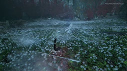 ꡼ No.005Υͥ / ĥΥϥ͡סǿץ쥤ȥ쥤顼θˤ饤RPG