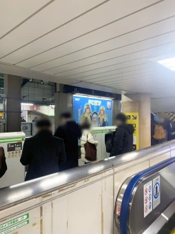 ���������꡼ No.031�Υ���ͥ������ / �˴���̤���������Ӥ�֥ۥ磻�ȥ����ȡ����Х��Х�פ���2025���äݤ���ޤĤ�ɤ˻�����ƶä���ͷ��ǳڤ�����Ÿ���Ƥ�̿��ǾҲ��PR��