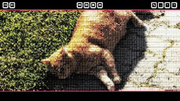 ���������꡼ No.009�Υ���ͥ������ / �ƥ����Ȥ�ư�����ƥͥ��򥴡���ޤ������Ϥ���ͥ������ѥ����Push The Cat with WASD�ס�Steam������ȯ��