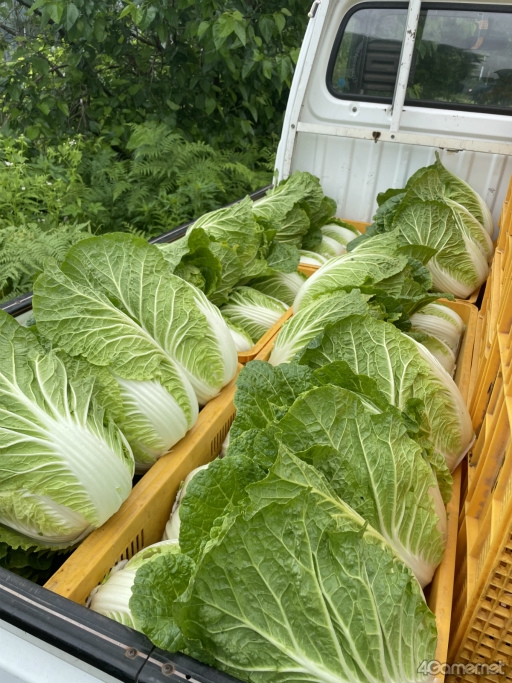 画像ギャラリー No.002のサムネイル画像 / 弟がリアル農家なので「Farming Simulator 25」を一緒にプレイしてみた。農家目線での本作の完成度はいかに?