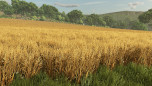 画像ギャラリー No.008のサムネイル画像 / 「Farming Simulator 25」,コンテンツ拡張パック「Plains & Prairies Pack」を6月3日に配信。シリーズ初登場のFordから2種類のモデルを追加