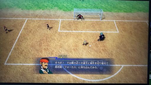 ꡼ No.008Υͥ / ֥ʥޥ֥ ͺΥȥ꡼ɡ׻ͷݡȡ礭ۤʤʬʥץ쥤θ줽TGS2025