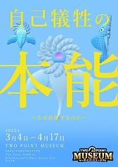 ���������꡼ No.011�Υ���ͥ������ / �إ�ƥ���ʪ�۷бĥ���֥ġ��ݥ���ȥߥ塼������ס�PS5������ȯ�䡣Ÿ���ʤμ��������ǥ�����ʤɤ�Ԥ���ͣ��̵�����ʪ�ۤ򱿱Ĥ���