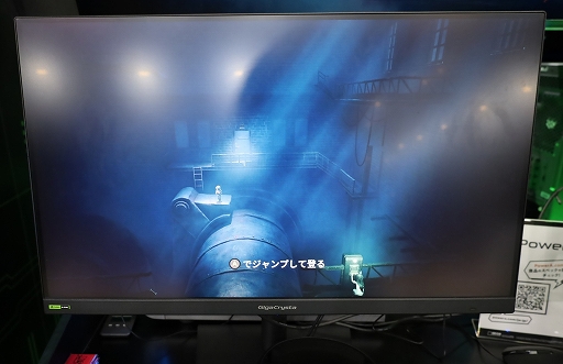 ꡼ No.005Υͥ / ֥ȥʥȥᥢפ꤬οREANIMALפϡ¿̤ʥ饢󥰥ˤФTGS2025