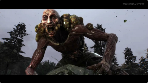 ꡼ No.002Υͥ / Dying Light: The Beastפȯ822˷