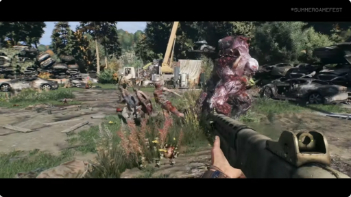 ꡼ No.003Υͥ / Dying Light: The Beastפȯ822˷