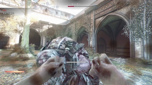 ���������꡼ No.016�Υ���ͥ������ / �Υץ쥤��ݡϡ�Dying Light: The Beast�ס�����Ӥ��Ǽ�ǰ���������ӡ����ȥ⡼�ɤ��θ������¤ʤ��Υѥ륯����ȻȤ��ΤƤμ֤Ǻǹ�μ�ͳ��ڤ����