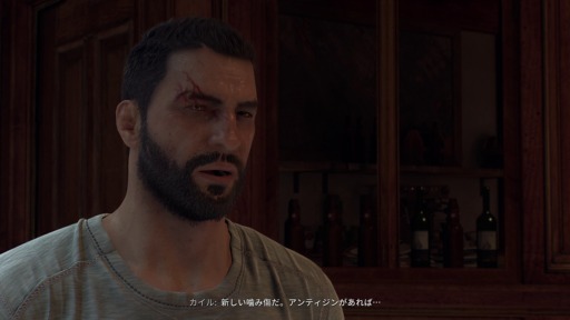 ���������꡼ No.073�Υ���ͥ������ / �Υץ쥤��ݡϡ�Dying Light: The Beast�ס�����Ӥ��Ǽ�ǰ���������ӡ����ȥ⡼�ɤ��θ������¤ʤ��Υѥ륯����ȻȤ��ΤƤμ֤Ǻǹ�μ�ͳ��ڤ����