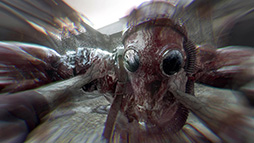 ꡼ No.003Υͥ / ֥󥰥饤ȡӡȡסȯ䡣֥ȡ륦åפˡ롦쥤οʪ줬