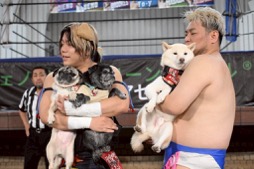 画像ギャラリー No.009のサムネイル画像 / 男色ディーノのゲイムヒヒョー ゼロ:第837回「思い出をしまった箱」