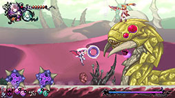 ���������꡼ No.005�Υ���ͥ������ / �֥���ࡦ�����ǥ����� ����������ȡ����֡������������פ��о줹��Ũ���Ⲧ����ʥ�Ⲧ���������פξ��󤬸�����