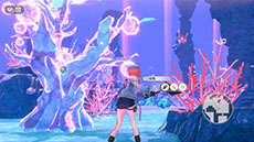 ꡼ No.038Υͥ / ֹȤϣѻΤμ 쥹ꥢʤΥȥꥨסо쥭饯䥹ȡ꡼ʥᥤӥ奢뤬