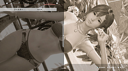 ���������꡼ No.035�Υ���ͥ������ / �Υץ쥤��ݡϥ��������ƥ��⥲���ॹ�κǿ����󥸥����������������������ʥ�����������ADV��Venus Vacation PRISM�פϡ�VV���꡼���ο����ʲ�ǽ���򴶤�����ʤ�