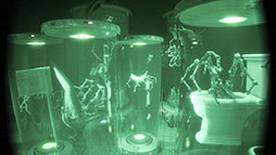 ���������꡼ No.005�Υ���ͥ������ / �ϲ����±���������μ¸��Τ�ϥ����ԡ��ɤǱ��¤��Ƥ������Ϸ��ۥ顼�������UNDERWARD�ס�Steam������ȯ��